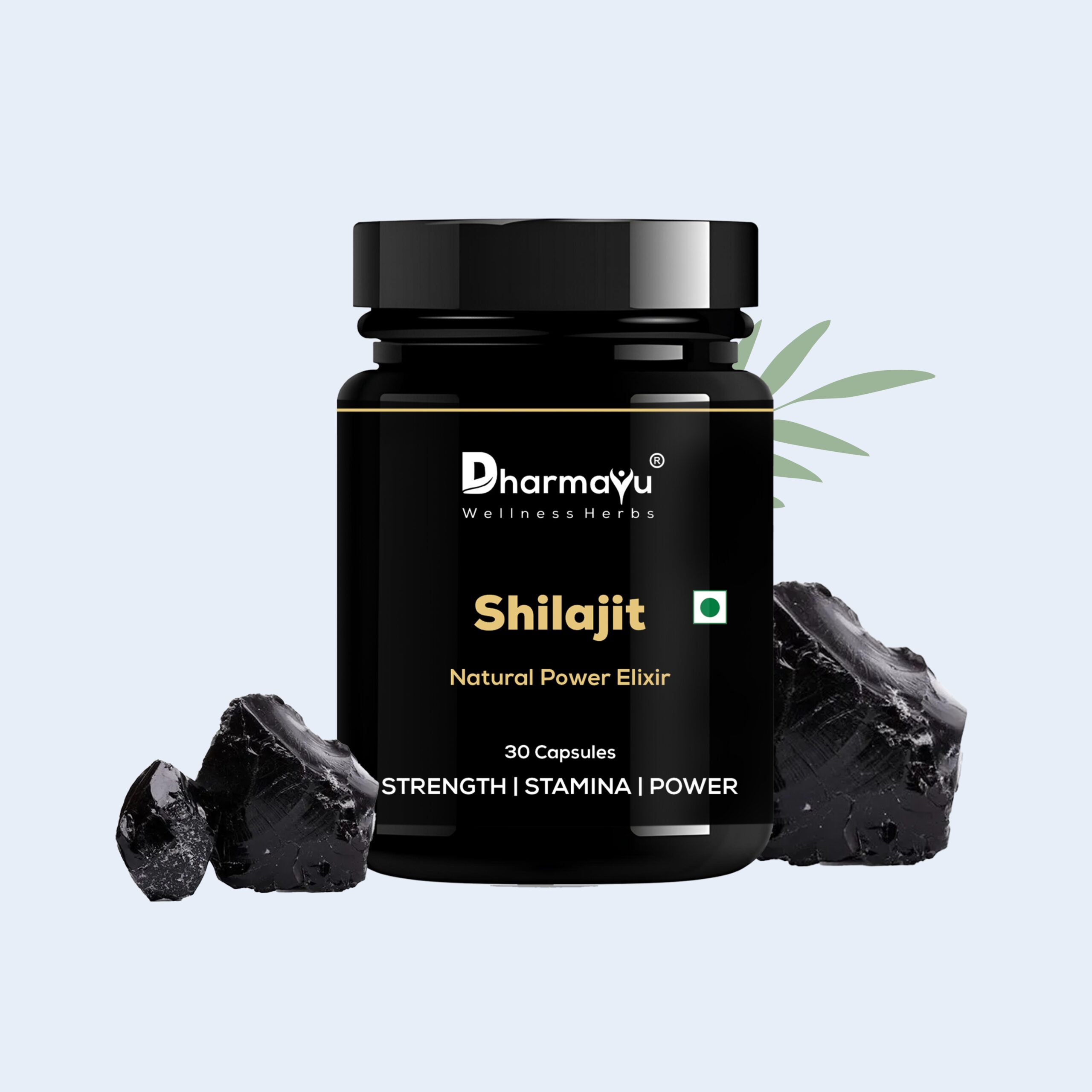 Dharmayu Shilajit Natural Power Elixir