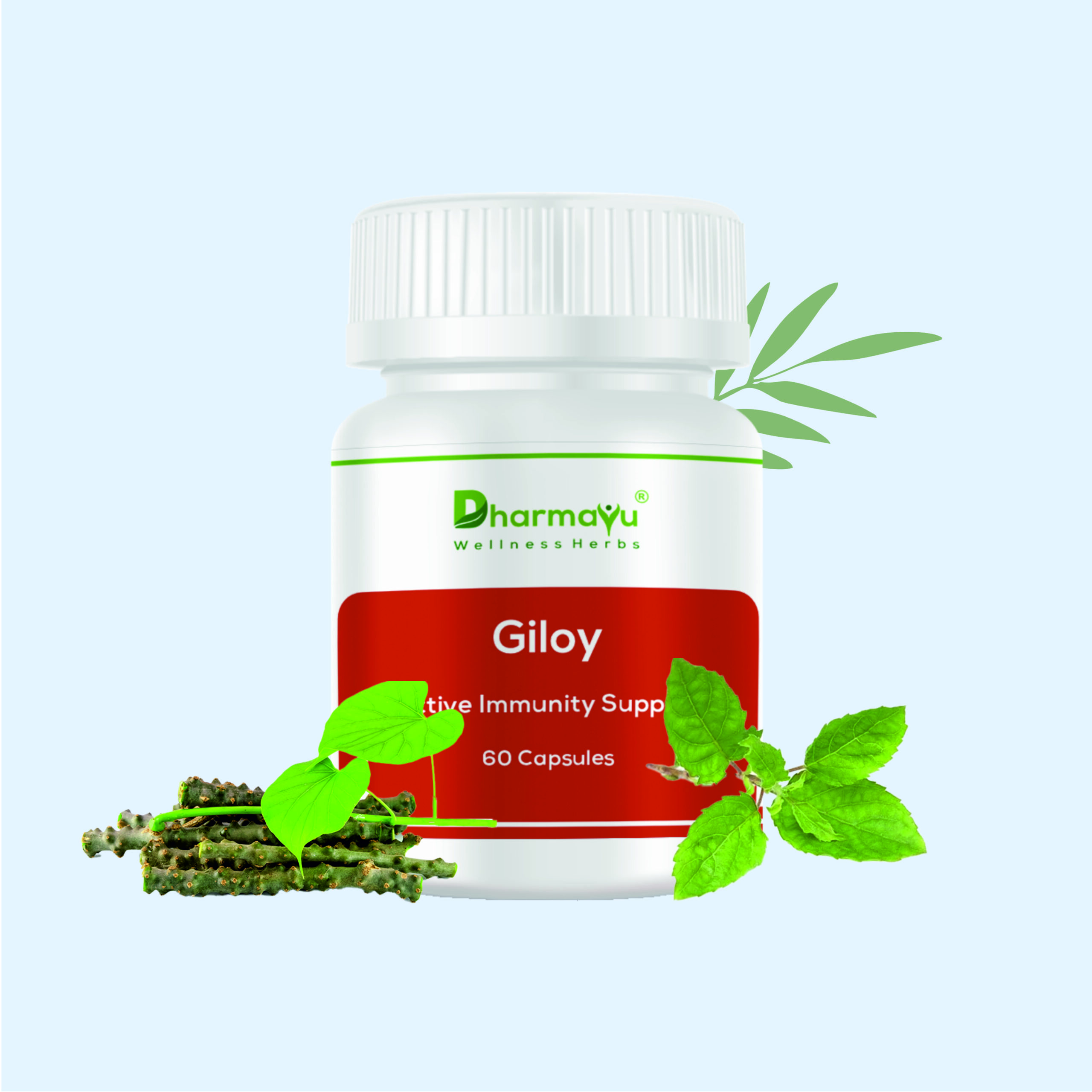 Dharmayu Giloy Active Immunity Support