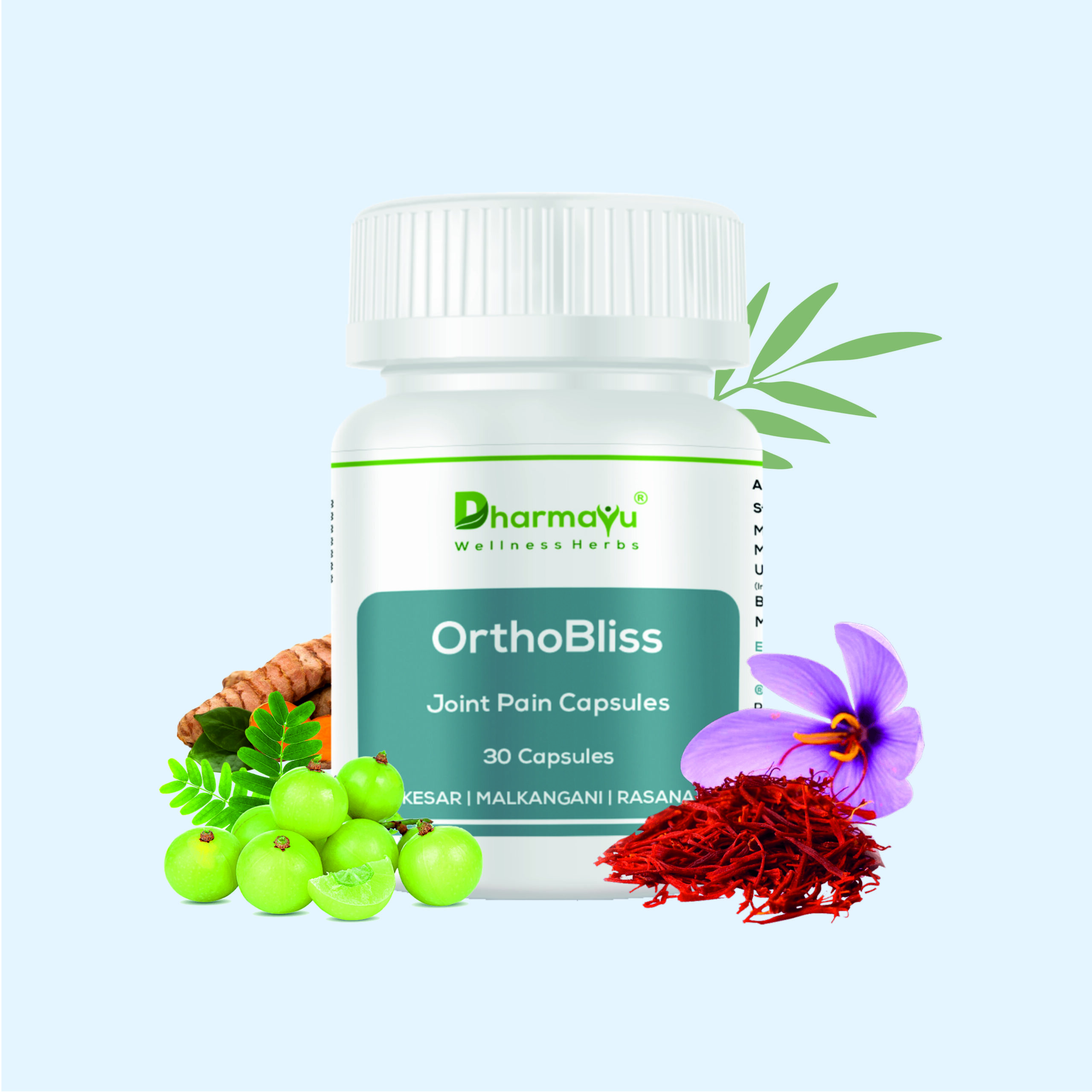 Dharmayu OrthoBliss Joint Pain Capsules