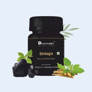 Dharmayu Shilajit Natural Power Elixir
